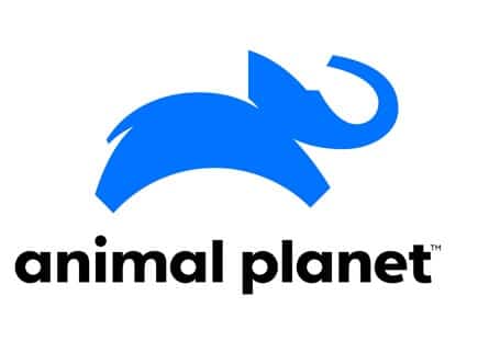 watch-animal-planet