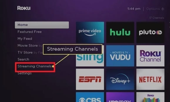 Roku Streaming Channels